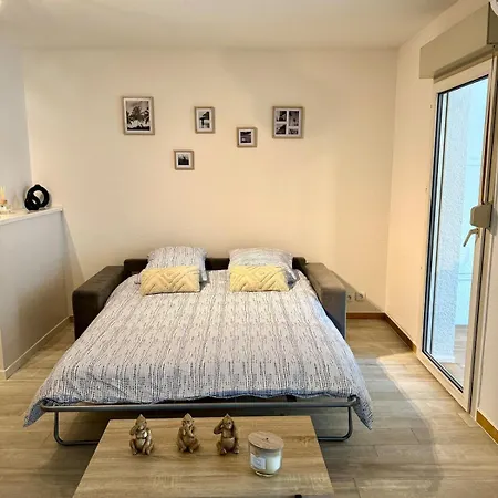 Apartment Agreable 2 Pieces Et Son Jardin *